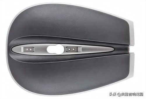 集性能 音質和美學于一體 寶華韋健 b w 804d4 落地音箱